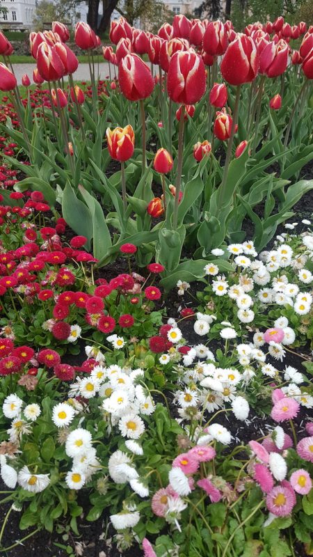 20170505_091739