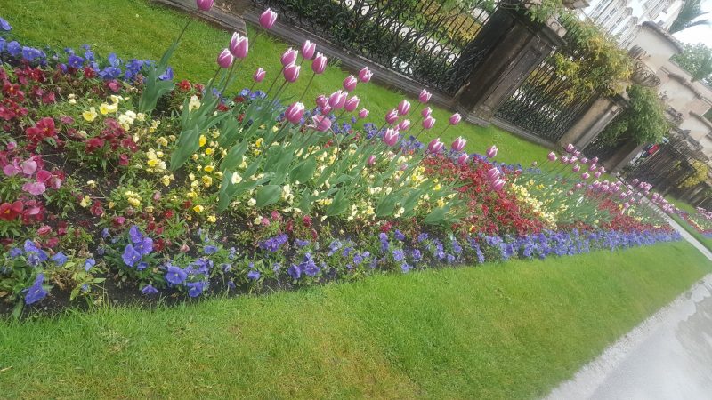 20170505_092316