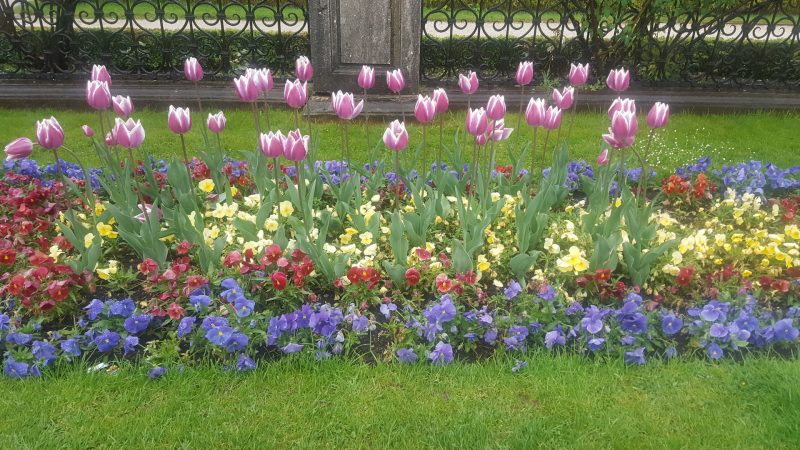 20170505_092341